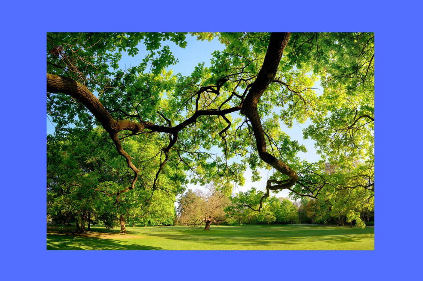 Clicca per accedere all'articolo Campi e case: una convivenza possibile?